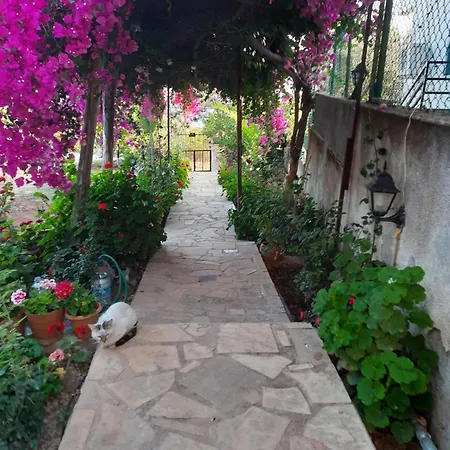 Koeknar Ξενοδοχείο